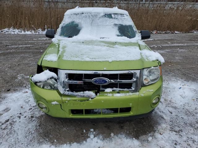 2012 Ford Escape XLT