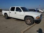 2001 Dodge Dakota Quattro