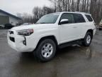 2022 Toyota 4runner SR5/SR5 Premium