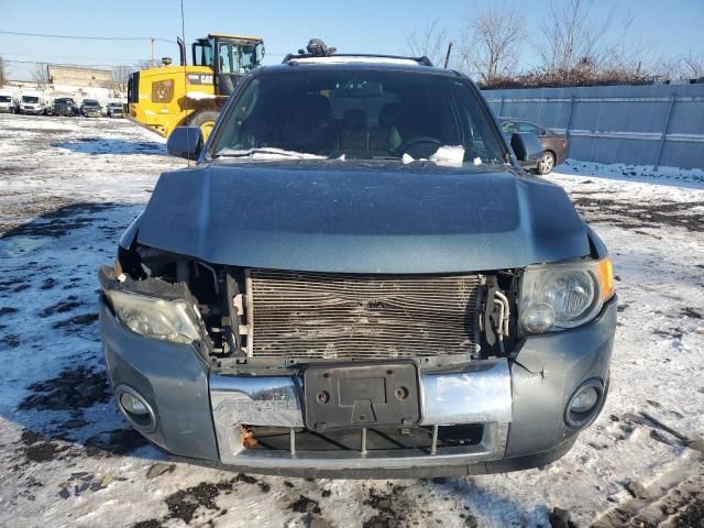 2010 Ford Escape Limited