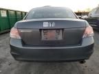 2010 Honda Accord LXP