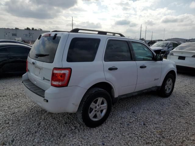 2011 Ford Escape Hybrid