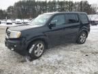 2013 Honda Pilot Exln