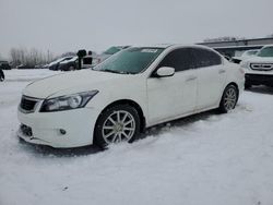 Salvage cars for sale at Wayland, MI auction: 2008 Honda Accord EXL