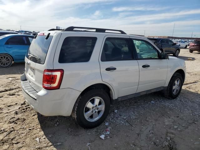 2012 Ford Escape XLT