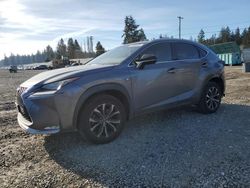 Lexus salvage cars for sale: 2016 Lexus NX 200T Base