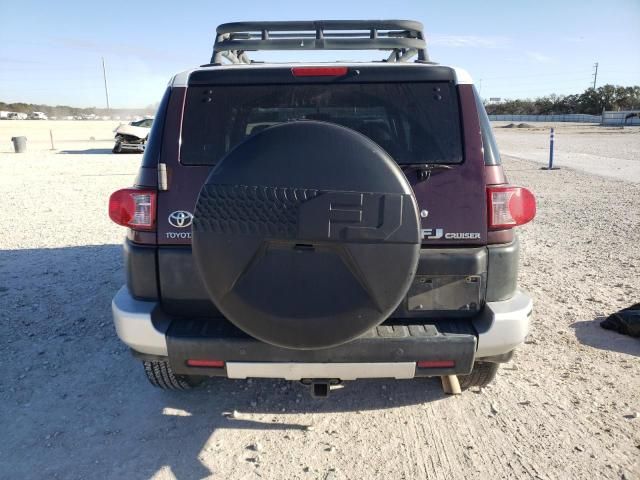 2007 Toyota FJ Cruiser