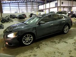 Nissan salvage cars for sale: 2009 Nissan Maxima S