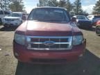 2008 Ford Escape Limited