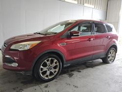 Salvage cars for sale at Orlando, FL auction: 2013 Ford Escape SEL