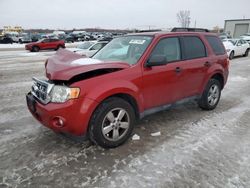 Salvage cars for sale at auction: 2012 Ford Escape XLT