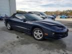 2001 Pontiac Firebird Trans AM