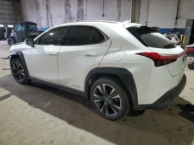 2020 Lexus UX 250H