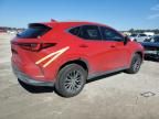 2024 Lexus NX 250 Premium