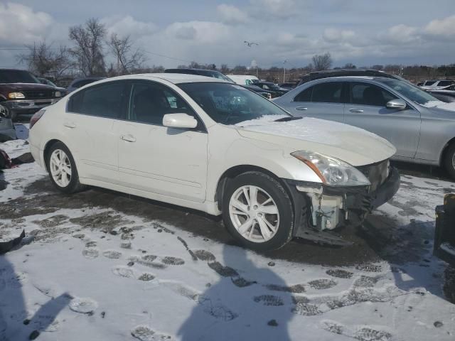 2010 Nissan Altima Base