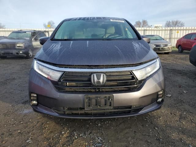 2023 Honda Odyssey EXL