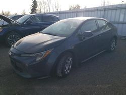 Salvage cars for sale at Bowmanville, ON auction: 2020 Toyota Corolla LE