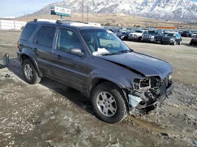 2005 Ford Escape Limited