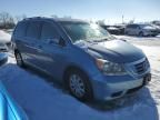 2008 Honda Odyssey EXL