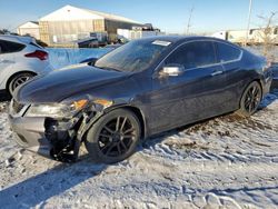 Honda salvage cars for sale: 2013 Honda Accord EXL