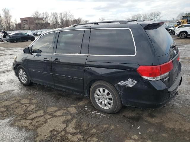 2010 Honda Odyssey EXL