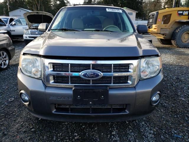 2009 Ford Escape XLT