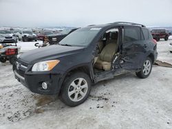 Salvage cars for sale at Helena, MT auction: 2012 Toyota Rav4 Limited