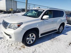 Salvage cars for sale from Copart Cicero, IN: 2010 Lexus GX 460