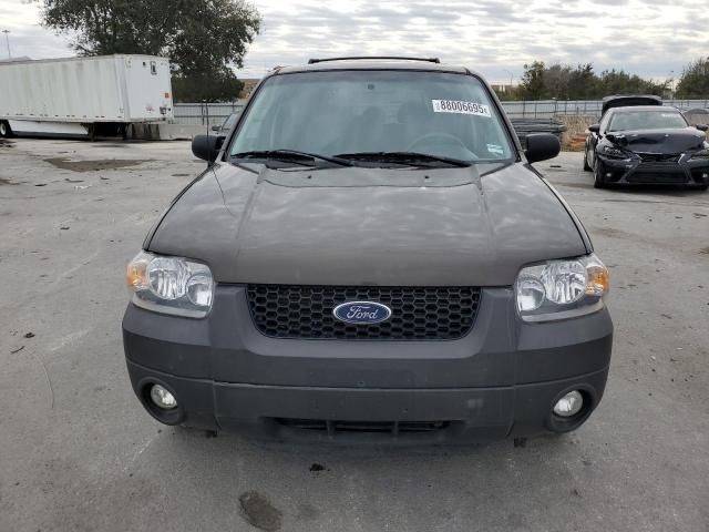 2007 Ford Escape XLT