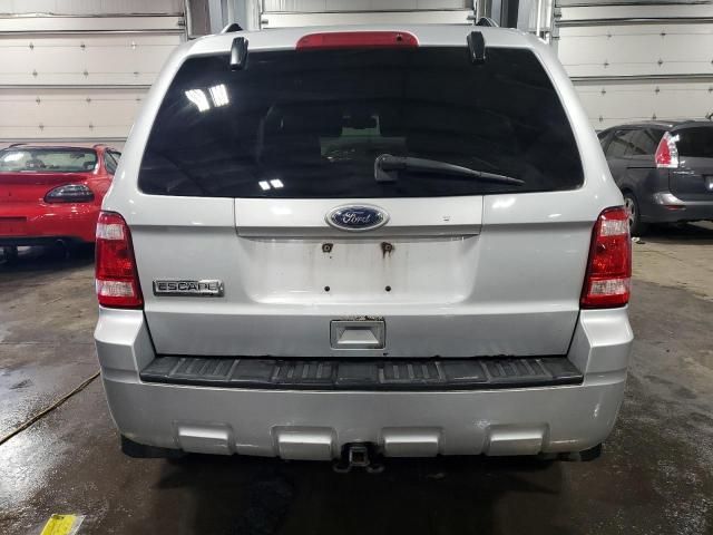 2010 Ford Escape XLT