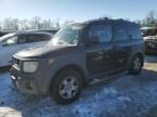 2004 Honda Element EX