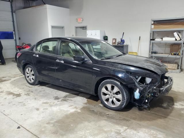 2008 Honda Accord EXL