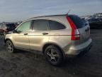 2008 Honda CR-V LX