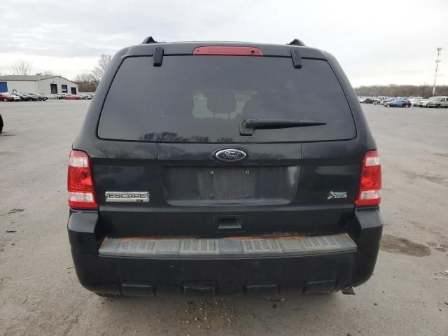 2010 Ford Escape XLT