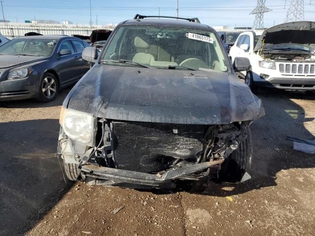 2008 Ford Escape XLT