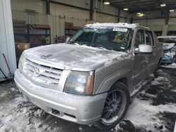 Salvage trucks for sale at Bridgeton, MO auction: 2004 Cadillac Escalade EXT