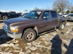 2000 Dodge Dakota Quattro