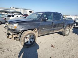 Salvage cars for sale at Earlington, KY auction: 2015 Toyota Tacoma Double Cab