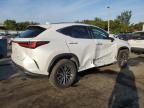 2022 Lexus NX 350