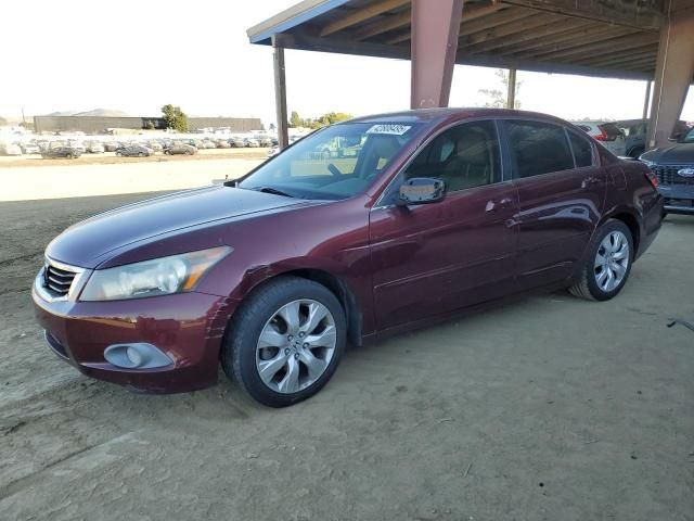 2010 Honda Accord EXL