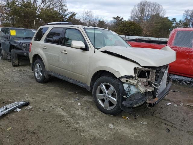 2011 Ford Escape Limited