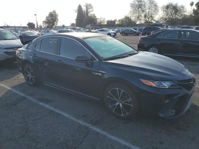 2019 Toyota Camry Hybrid