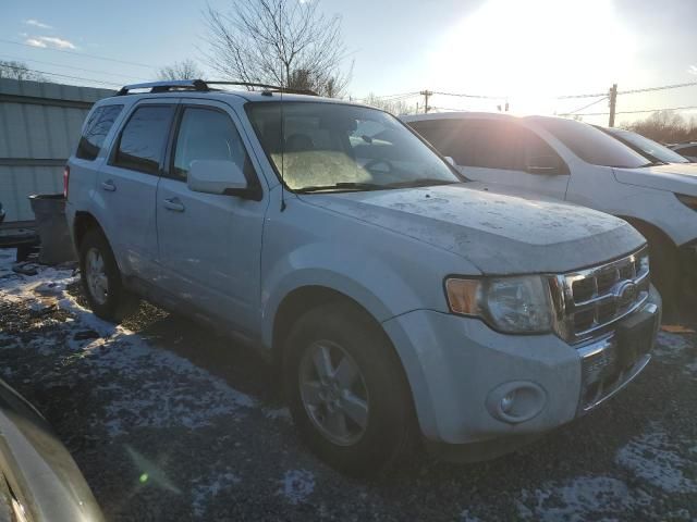 2010 Ford Escape Limited