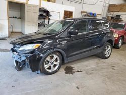 Salvage cars for sale at Ham Lake, MN auction: 2015 Ford Escape SE