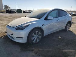 Salvage cars for sale at Tucson, AZ auction: 2023 Tesla Model Y