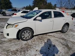 Salvage cars for sale from Copart Finksburg, MD: 2010 Toyota Corolla Base