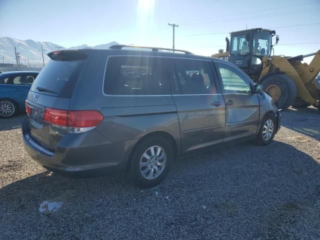 2010 Honda Odyssey EXL