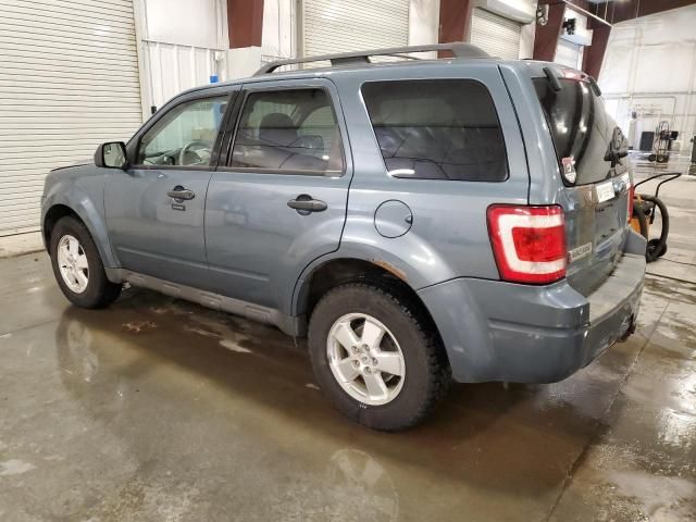 2010 Ford Escape XLT