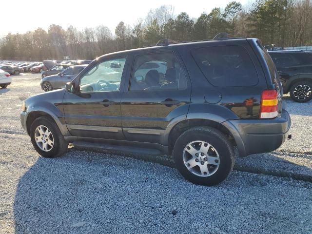 2004 Ford Escape XLT