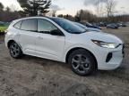 2023 Ford Escape ST Line